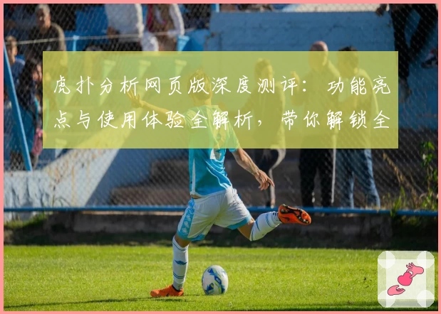 虎扑分析网页版深度测评：功能亮点与使用体验全解析，带你解锁全新体育互动乐趣