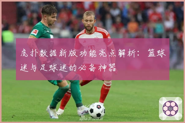 虎扑数据新版功能亮点解析：篮球迷与足球迷的必备神器
