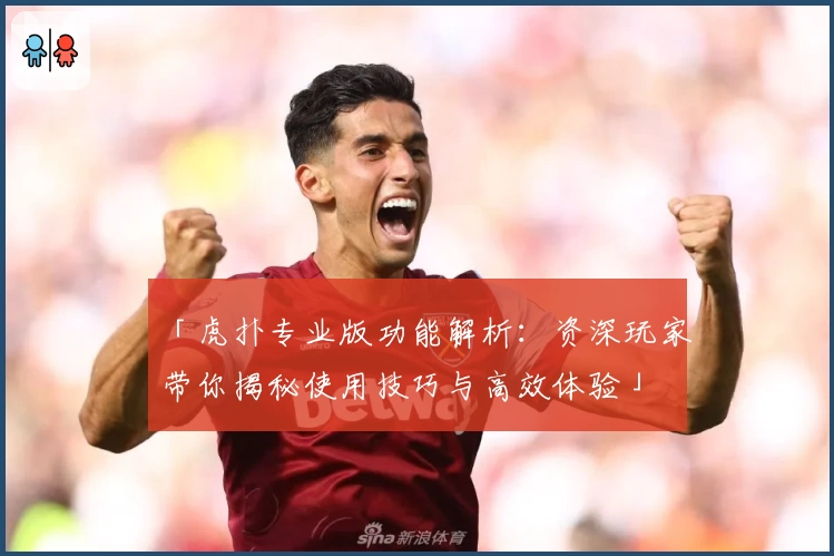 「虎扑专业版功能解析：资深玩家带你揭秘使用技巧与高效体验」